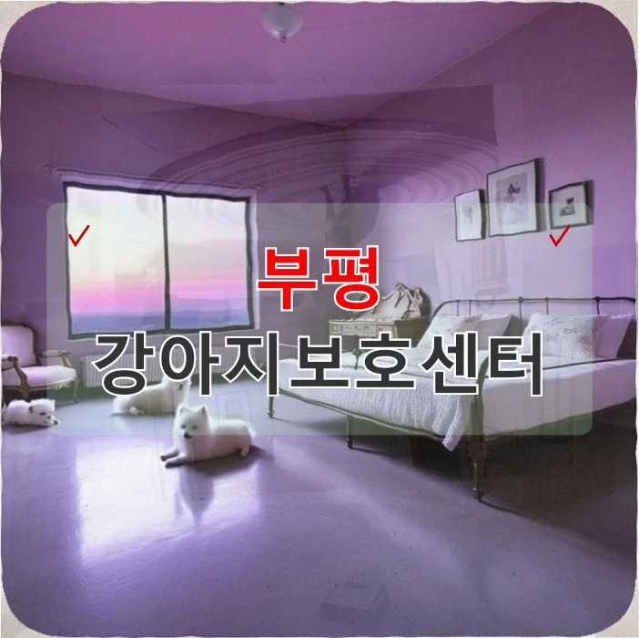 강아지 행동 교정 비용, 보험으로 해결하는 법 (2026)