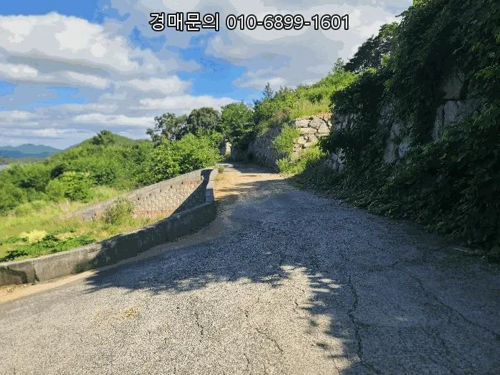 통영 도산면 임야 지분 경매 2026: 49% 최저가 낙찰 기회 2