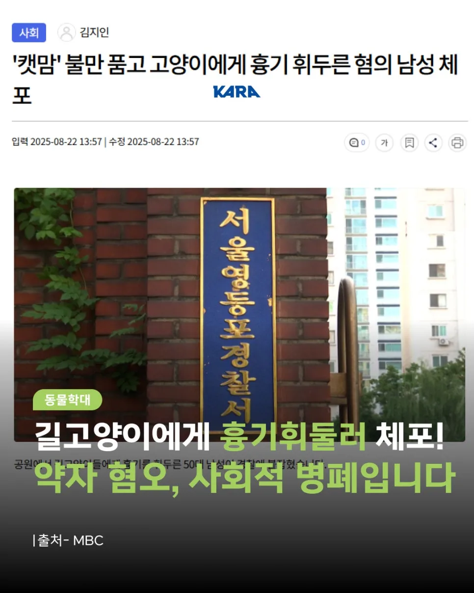 길고양이 학대 사건 2026: 약자 혐오, 어떻게 대처해야 할까? — 사회·시사 — wien9364