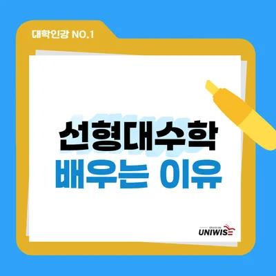 선형대수학 인강, 수포자도 이해하는 비결 2026 3
