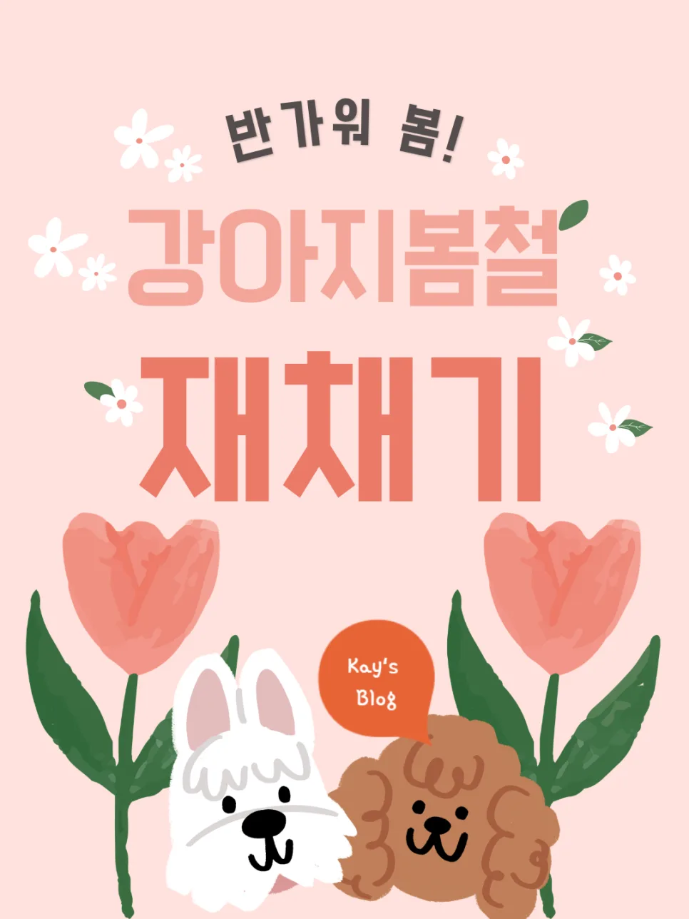 강아지 봄철 재채기 원인과 알러지 구분법 2026 — 반려동물 — kay_9246
