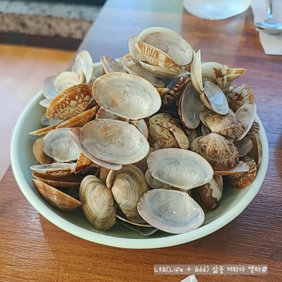 경기도 광주 칼국수 맛집 2026: 황도리 바지락 생칼국수 후기 — K-푸드·맛집 — bluezzangi