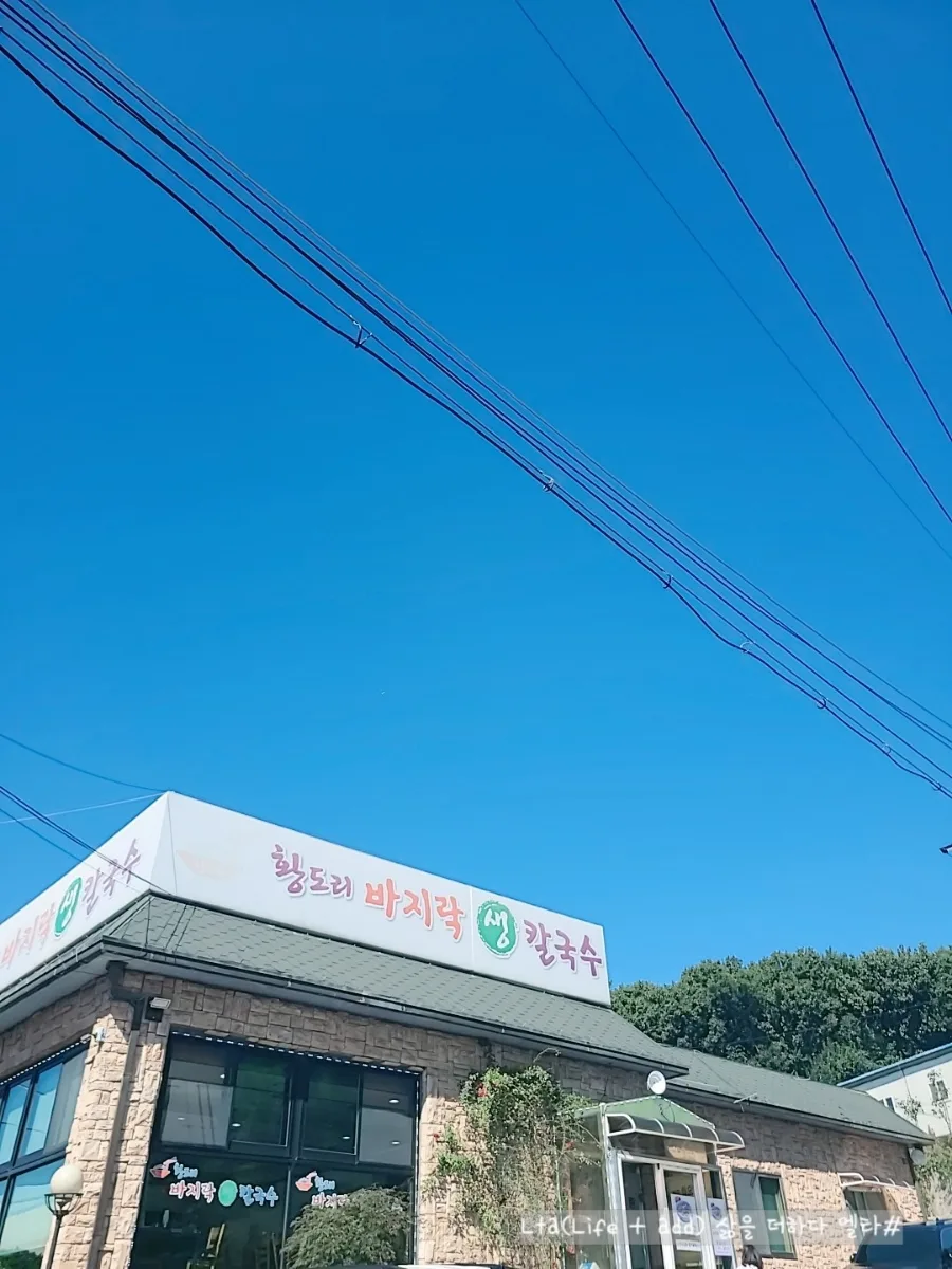 경기도 광주 칼국수 맛집 2026: 황도리 바지락 생칼국수 후기 3