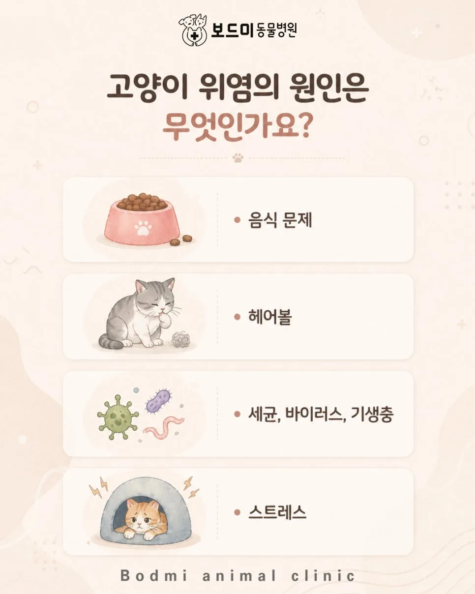 고양이 위염 증상과 치료법 2026: 집사가 꼭 알아야 할 모든 것 2