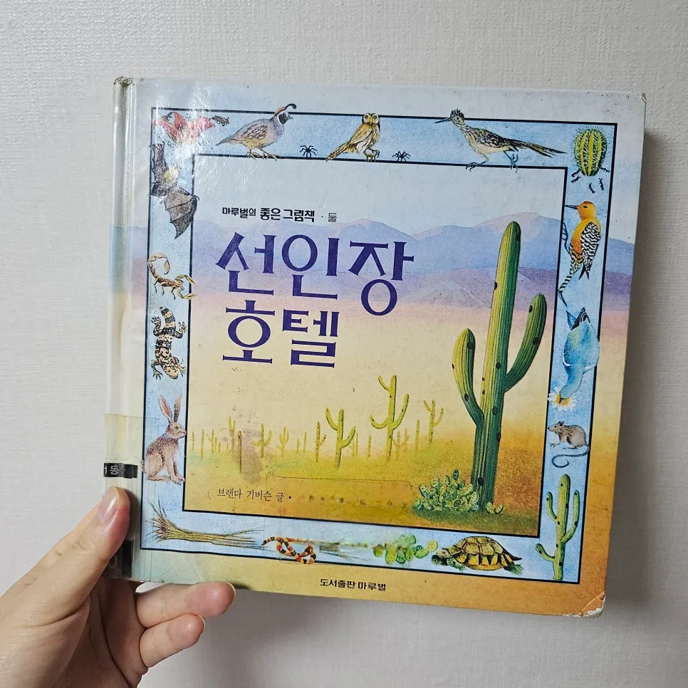 선인장 호텔 그림책, 사막 생태계의 비밀 2026년 완벽 분석 2
