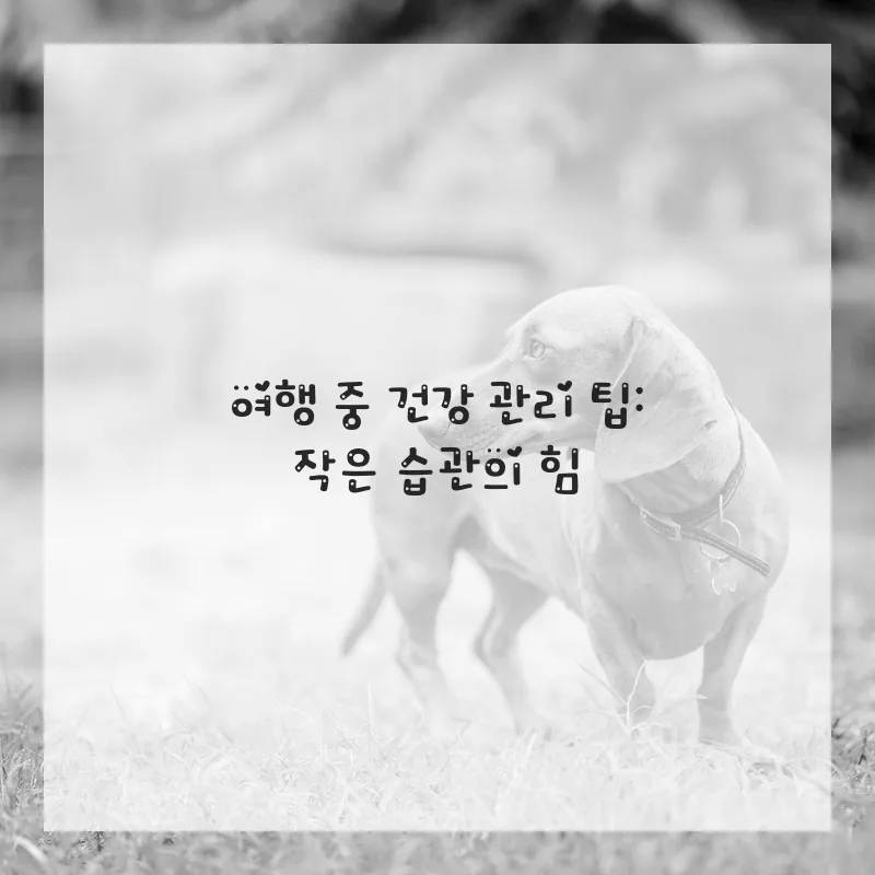 여행 중 건강 관리법 2026: 병원 방문 전 필수 체크리스트 2