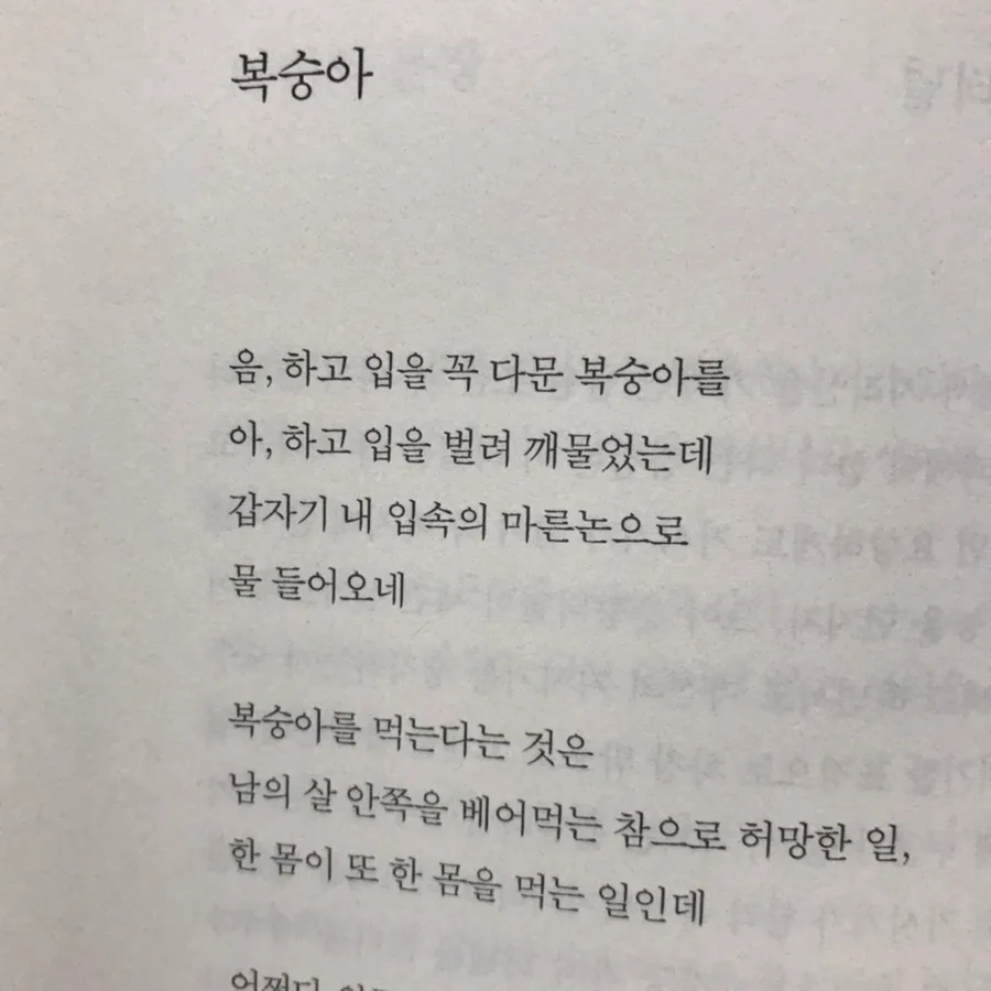 안도현 시 '복숭아' 해석: 생명과 허망함의 의미 2026 2