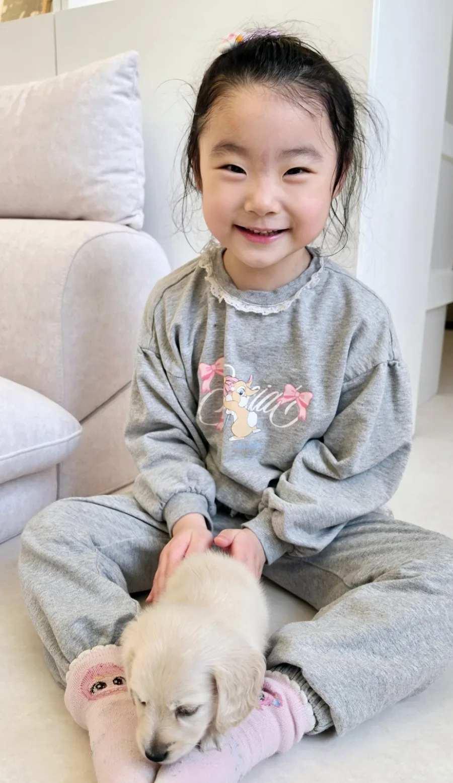 2개월 닥스훈트 입양 후기: 7살 아이와 반려견 함께 키우기 2026 3