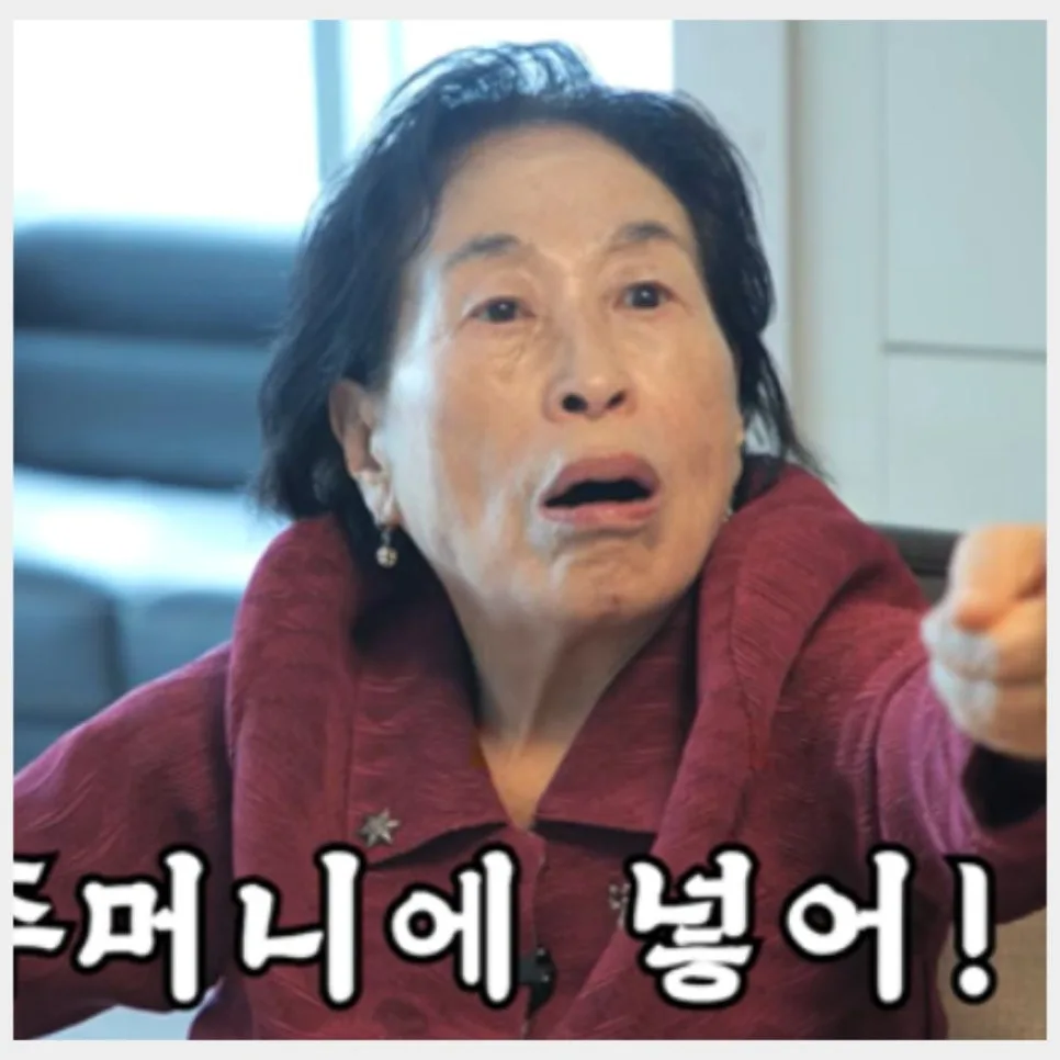 전원주 하이닉스 2만 원 투자 비결 2026: 600% 수익률과 나눔의 지혜 — 비즈니스·경제 — daily_honey 1