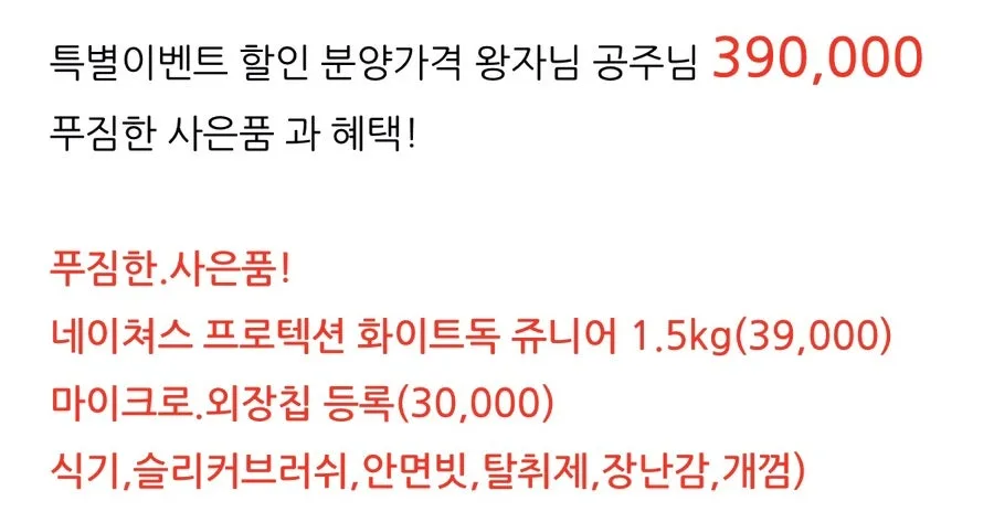 전포동 미니비숑 분양 2026: 특별 할인 정보 총정리 2