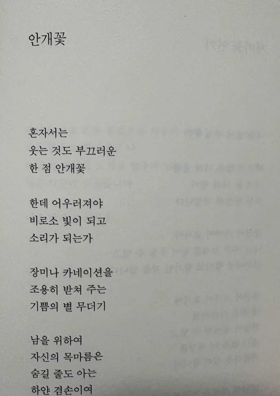 이해인 시 '안개꽃', '쌀 노래' 속 희망과 나눔의 메시지 2026 3