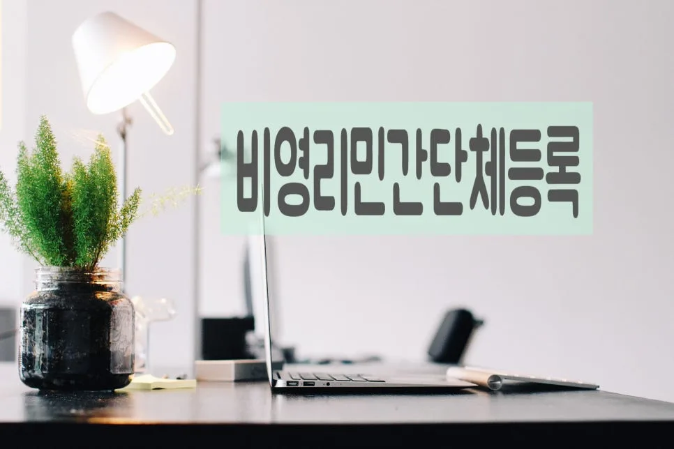 비영리민간단체 등록 방법 2026: 신청 자격 및 절차 총정리 — 사회·시사 — 0413kgs