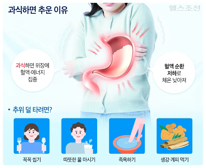 겨울철 체온 유지 식습관: 과식하면 더 추운 이유 2026 3