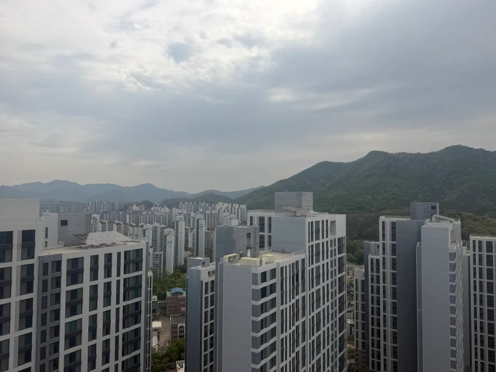 2026년 전세가율, 집값 예측 핵심 지표일까? 실제 상관관계 분석 2