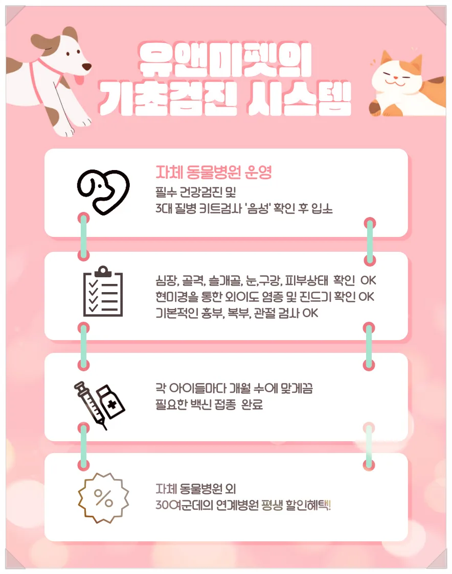 여주 말티푸 분양 2026: 유앤미펫 후기 및 건강한 반려견 선택법 2