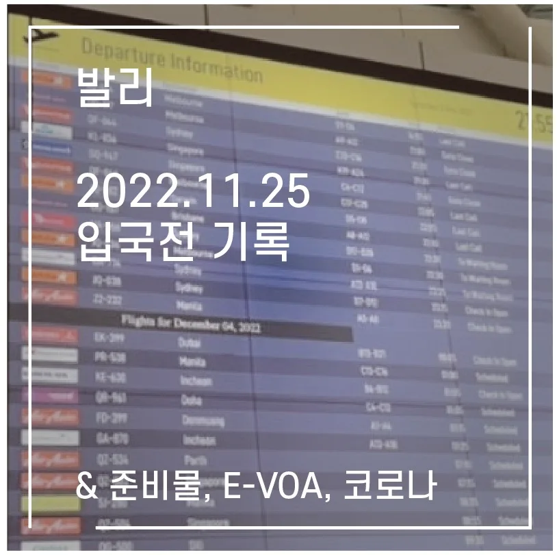 발리 입국 준비물 2026: 전자비자, 준비물, 필수 서류 완벽 정리 — 세계여행 — 1991kate