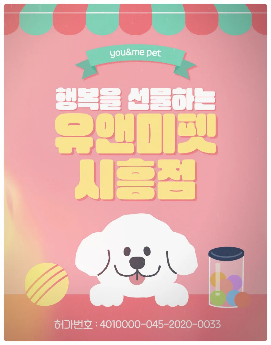 의정부 말티즈 분양 2026: 유앤미펫 솔직 후기 및 건강한 아이 선택법