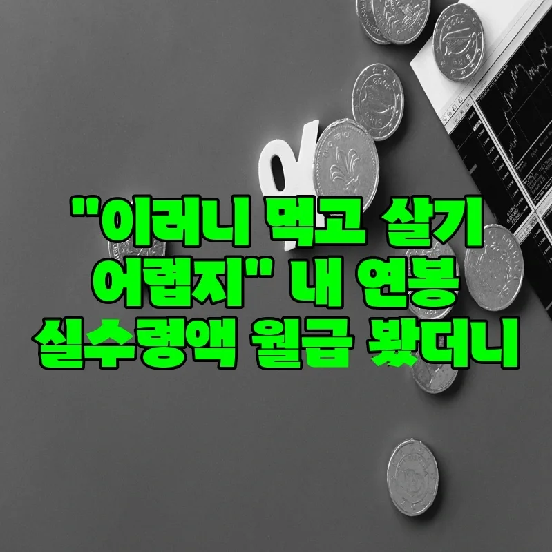 2026년 실수령액 계산법: 내 월급, 세금 공제 후 얼마일까?