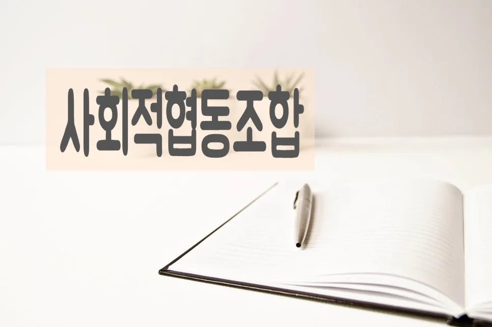 지역사업형 사회적협동조합 설립 절차 2026년 총정리 2