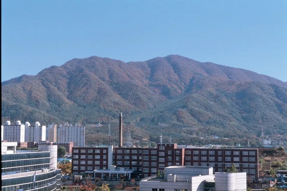 검단호수역 파라곤 신생아 특례 대출 완벽 가이드 2026 2