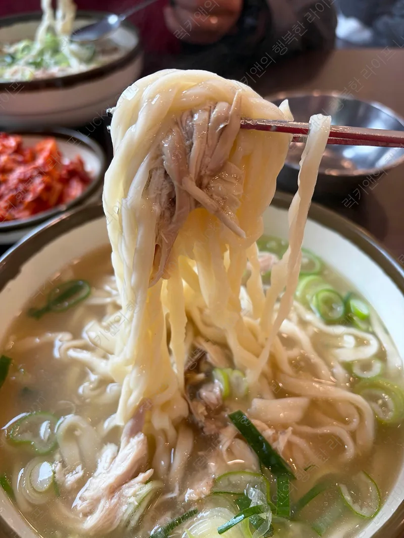 일산 칼국수 본점 2026: 40년 전통 닭칼국수 웨이팅 이유 분석 — K-푸드·맛집 — by 럭키앤