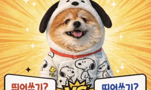 이이제이 vs 이의제기: 2026년, 헷갈리는 맞춤법 완벽 정리 2