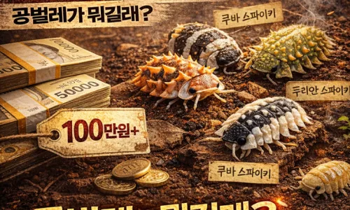 쿠바 스파이키 입양 전 필수 확인 사항 2026: 법적 리스크와 사육법 2