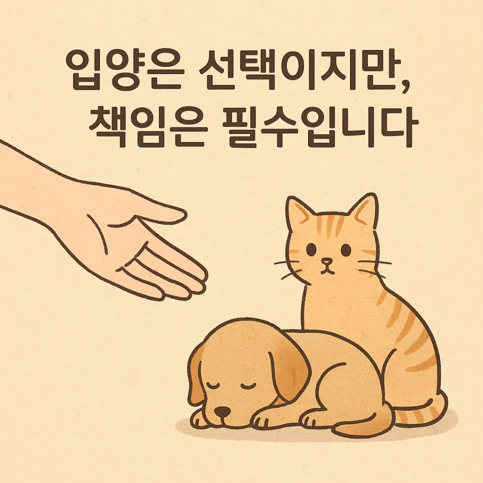 반려동물 유기 3회 30대, 벌금 300만원 선고 2026년 사례 분석