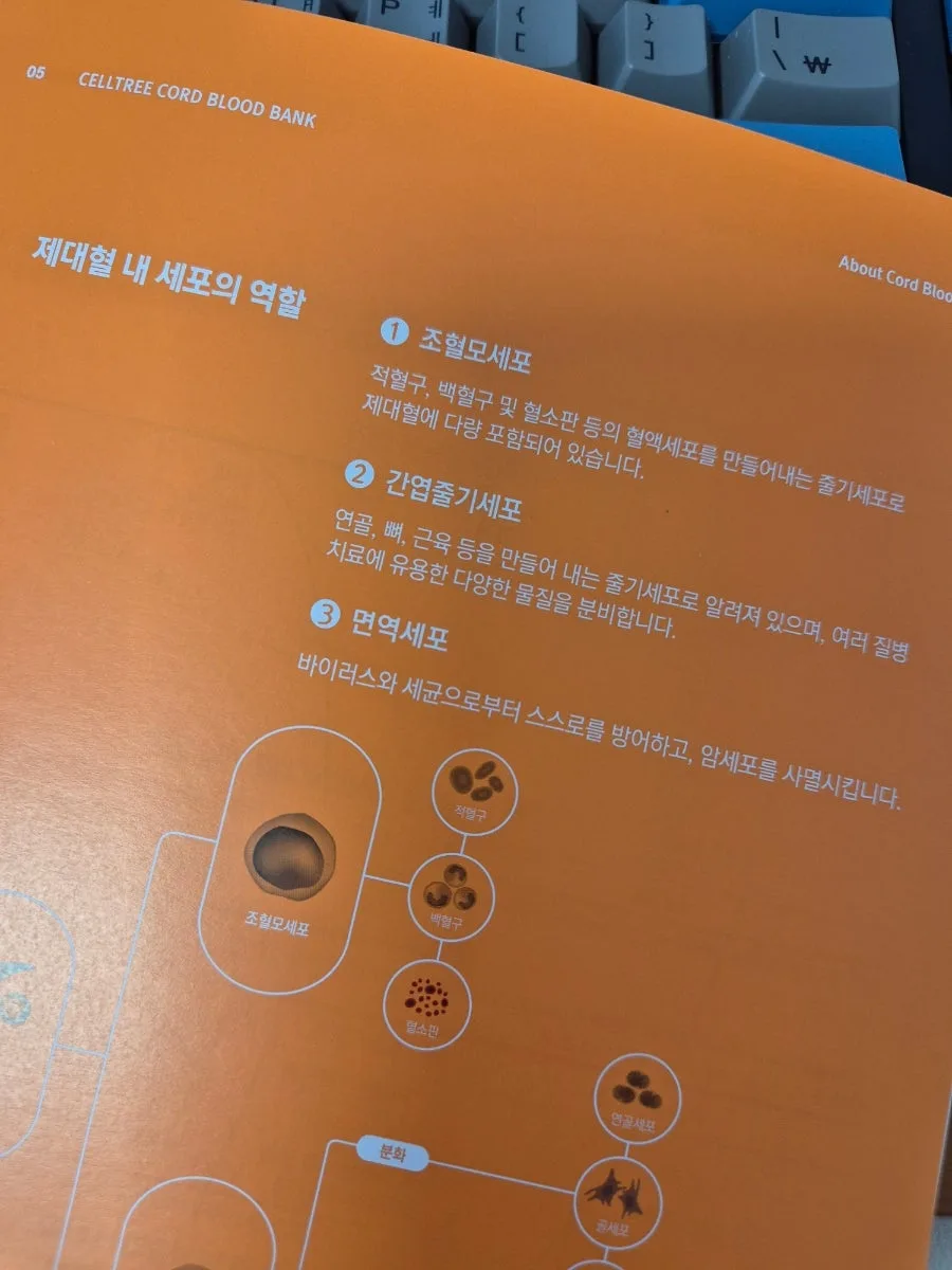 제대혈 보관, 2026년까지 고민해야 할 이유와 비용 총정리 3