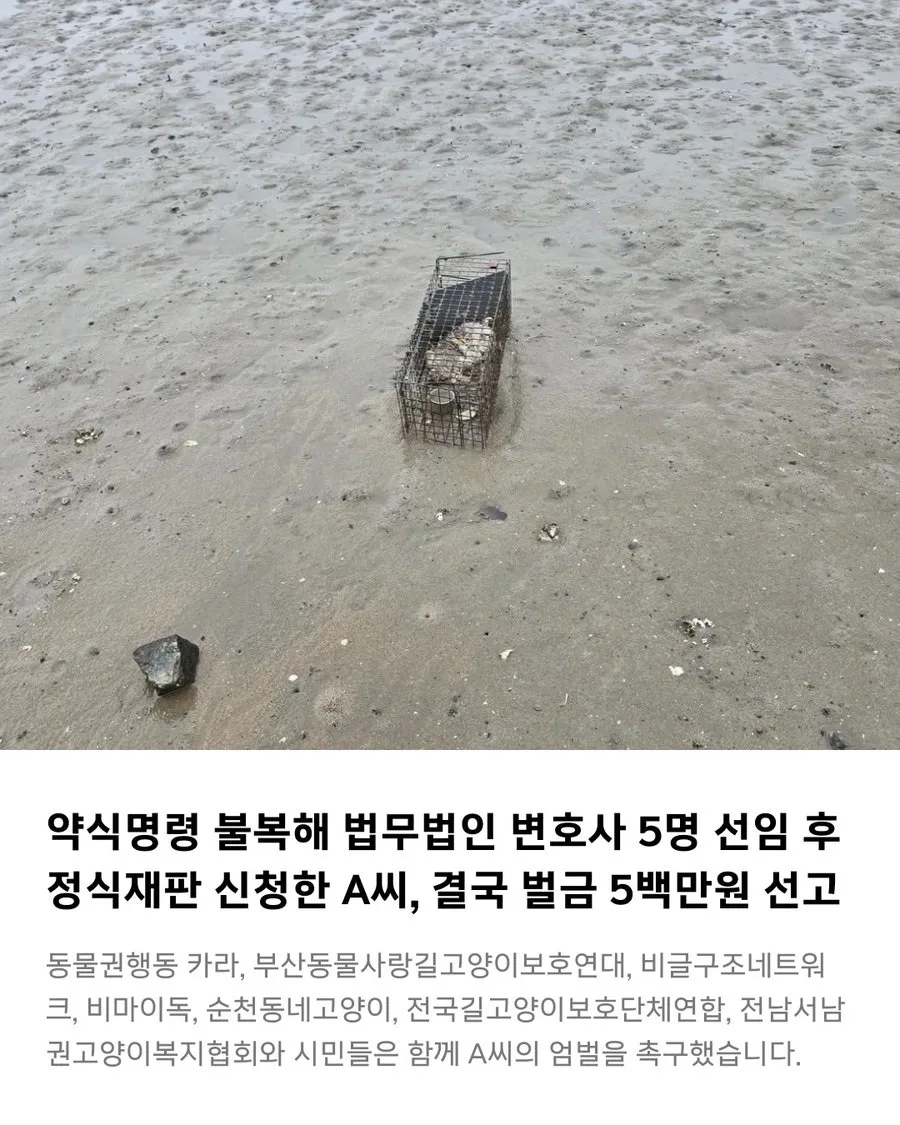 길고양이 무단 포획 2026년 벌금 500만원, 동물보호법 위반 판결 분석 3