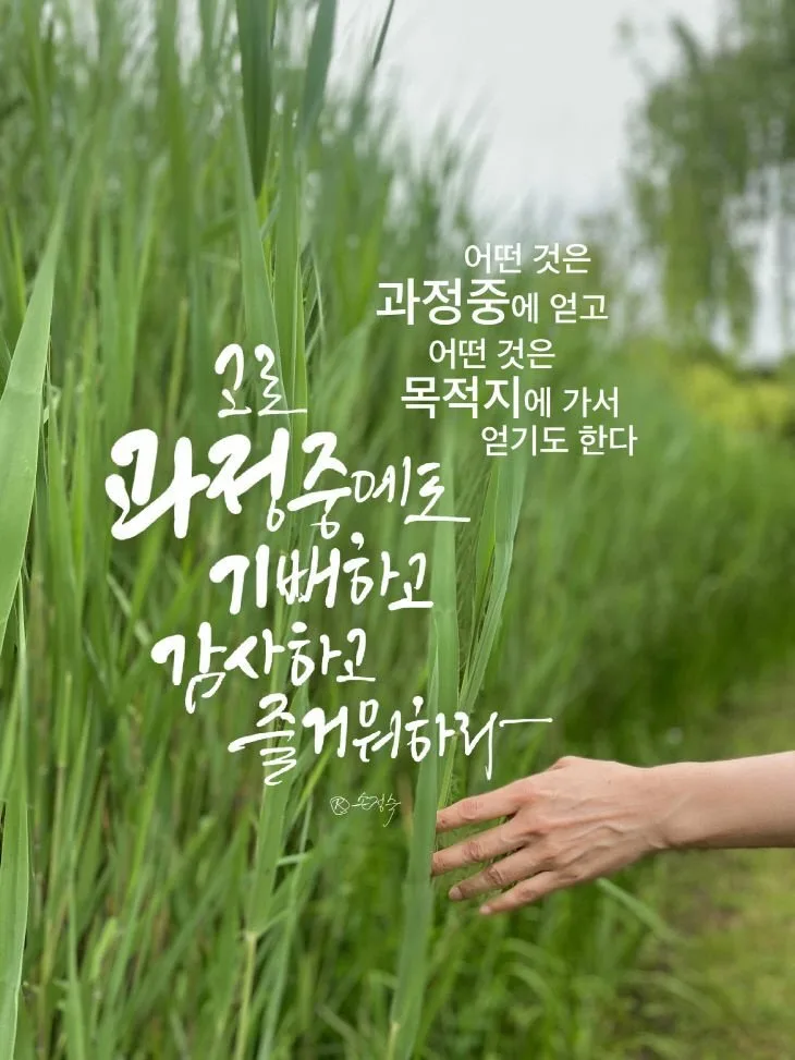 2026년 부동산 투자, 과정과 목적지 사이의 현명한 선택법