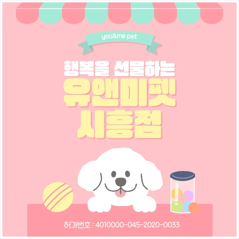 안양 말티푸 입양 2026: 유앤미펫 경험 기반 솔직 후기