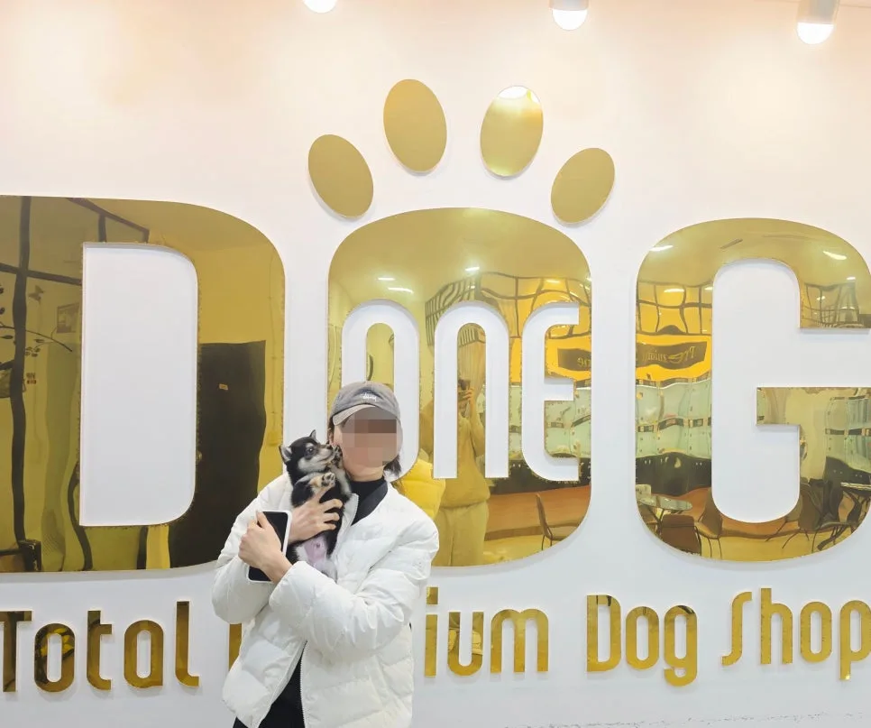 블랙탄 마메시바 분양: 2026년 입양 전 필수 체크리스트 2