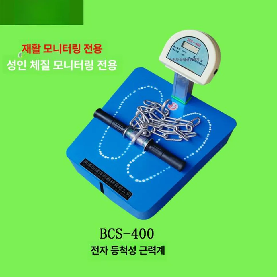 Back Strength Tester: Boost Your Fitness in 2026 2