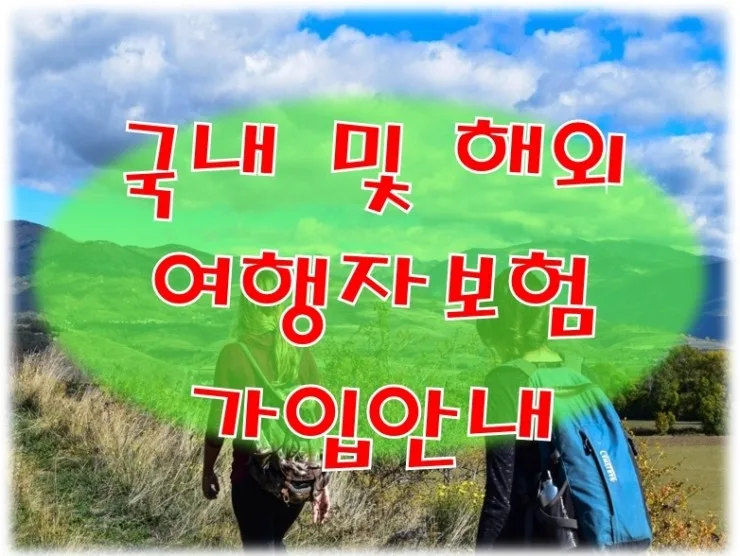 여행자보험 필수 가입 이유와 간편 가입 방법 2026 — 세계여행 — onnuri1989