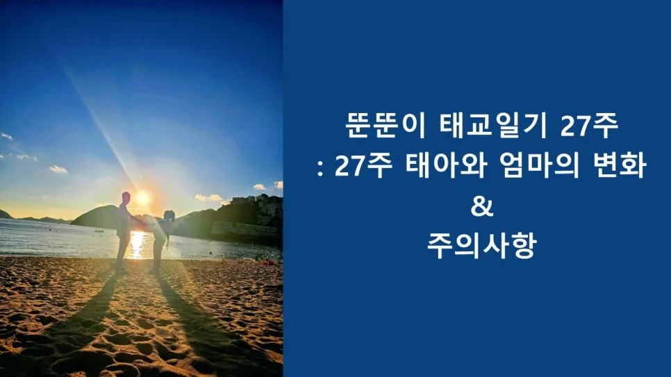 임신 27주 변화와 주의사항: 산모와 태아 건강 가이드 2026 3