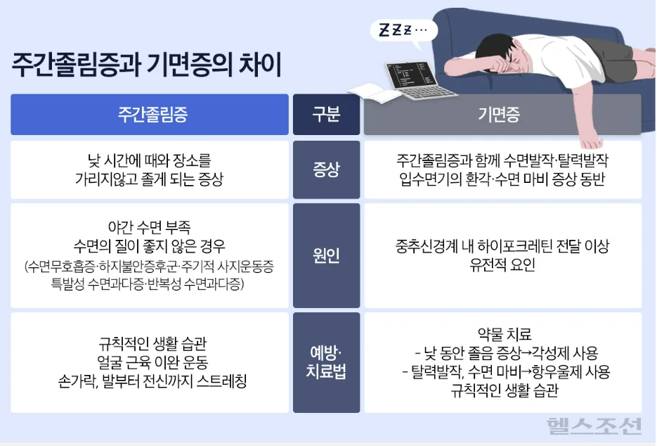 낮에 너무 졸리다면? 기면증 의심 증상과 치료법 2026 3