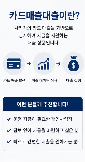 카드매출대출 한도 금리 조건 2026년 핵심 비교 가이드 2