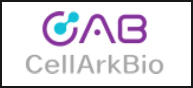 셀락바이오, 더파운더즈와 협력 2027년 글로벌 시장 공략 2026 2