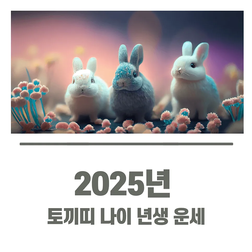 토끼띠 2025년 나이, 삼재, 궁합 총정리 (2025년 운세) — 일상·에세이 — kteacher52