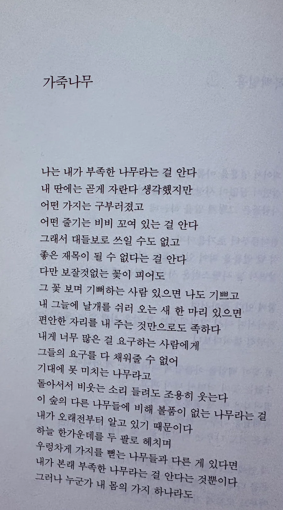 도종환 가죽나무 시, 겸손과 희생의 의미 2026년 재해석 2