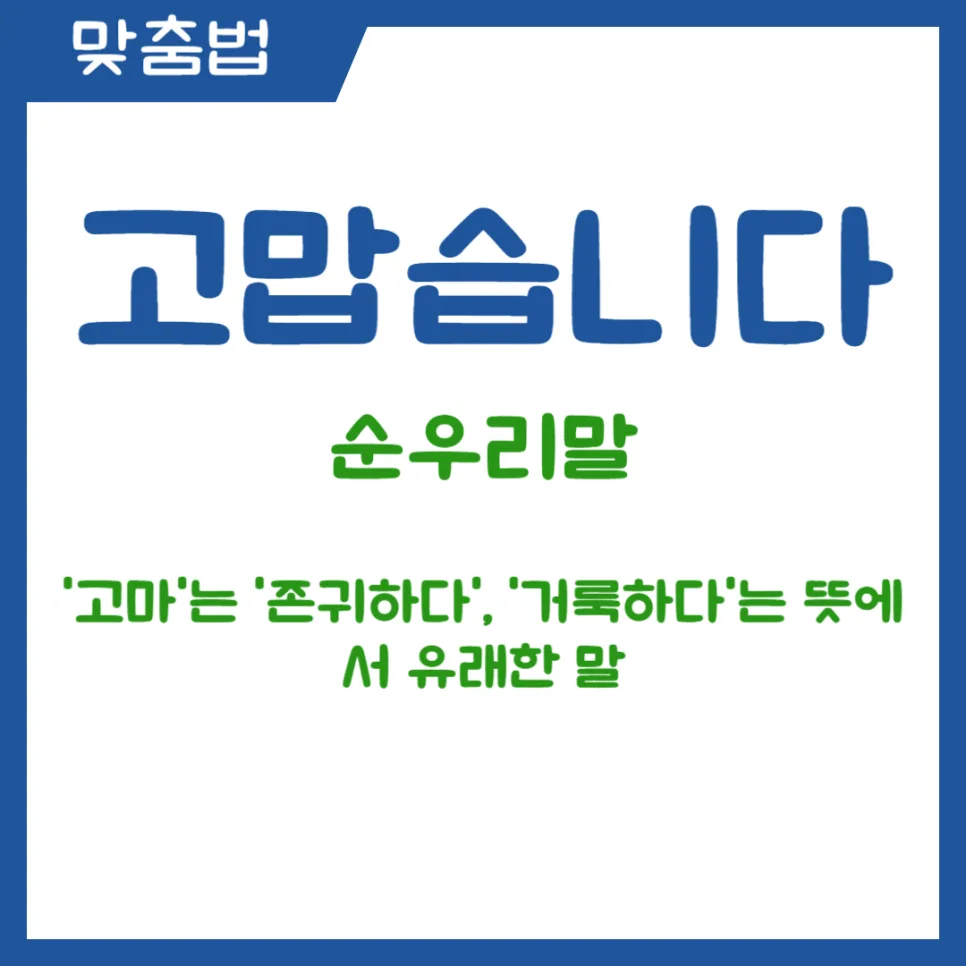 고맙습니다 vs 감사합니다: 2026년, 순우리말의 품격과 차이점 완벽 정리 2