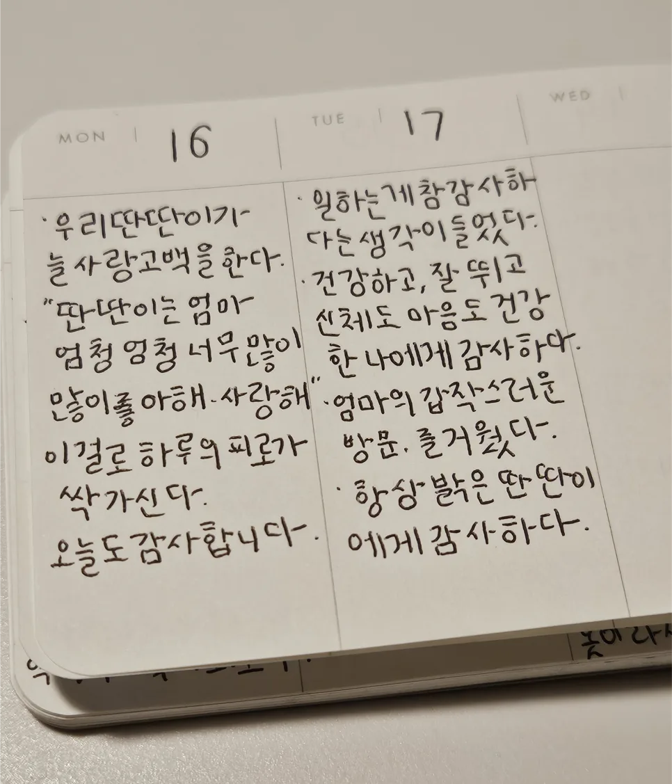 건강한 몸 감사일기 2026: 매일 감사함으로 충만한 삶 사는 법 2