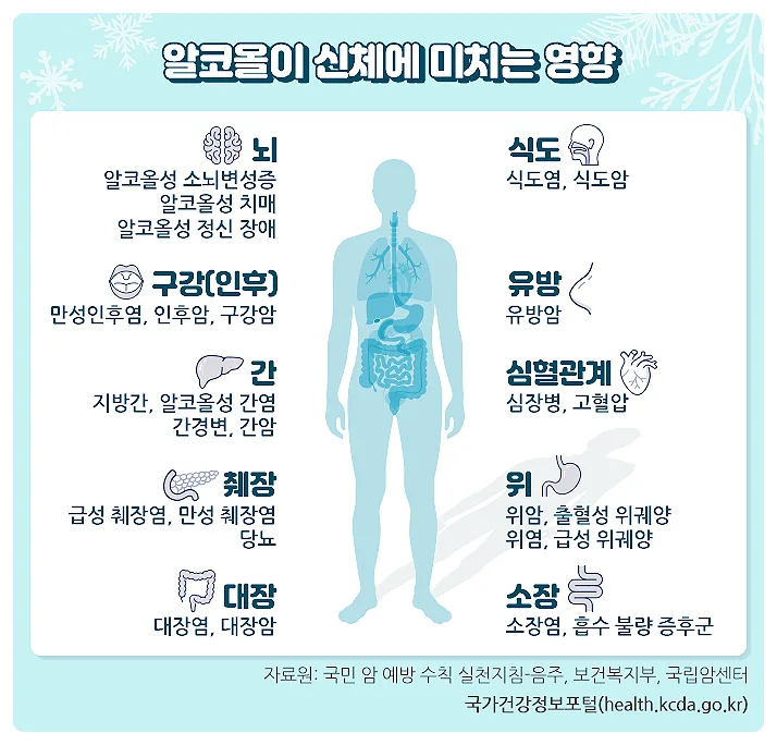 적정 음주량은 없다? 연말연시 건강 지키는 3가지 방법 2026 3