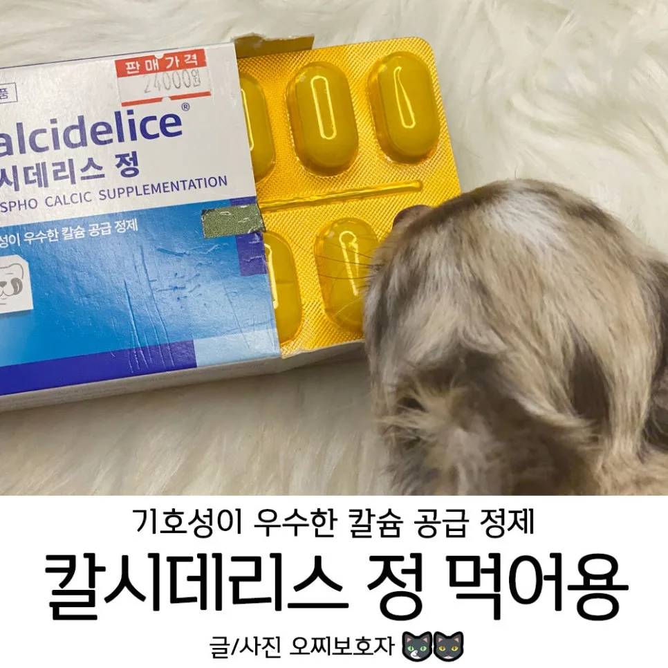 아기 강아지 천공(천문) 닫는 법: 칼슘 보충제와 복용량 2026