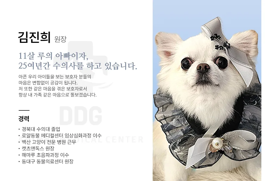 대구 고양이 건강검진 필수 체크리스트 2026: 연령별 검진 주기 완벽 분석 2