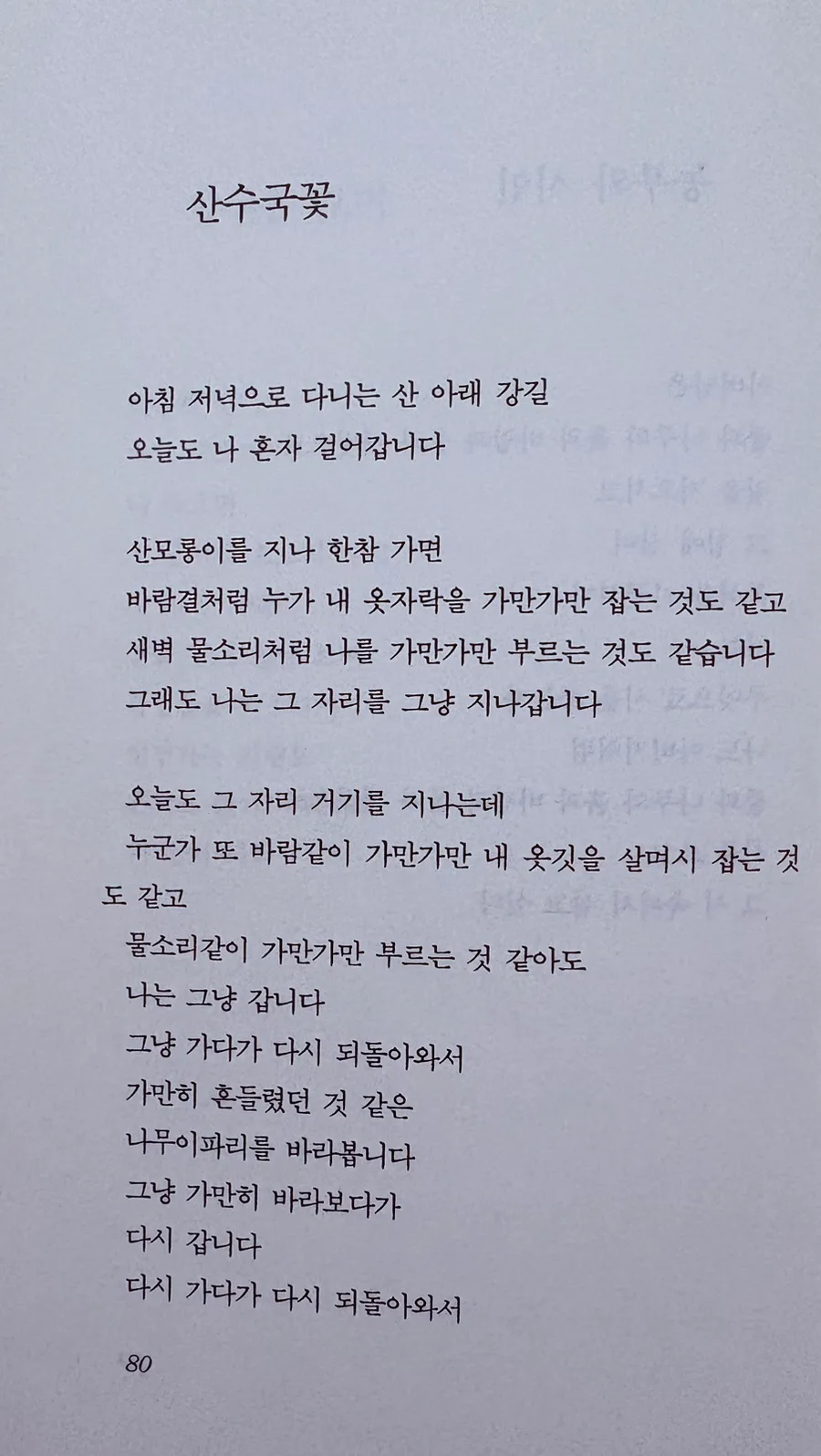 김용택 산수국 꽃 시 분석: 그리움과 발견의 의미 2026 3