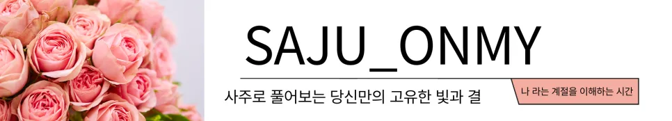 2026년 천살 운세: 뱀띠, 닭띠, 소띠의 하늘이 내린 시험 대비법 2
