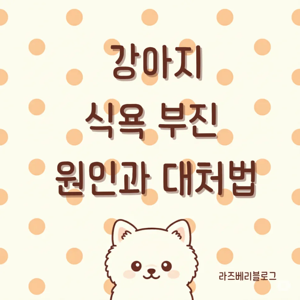 강아지 밥 안 먹어요? 2026년 식욕 부진 원인과 집에서 하는 대처법 7가지