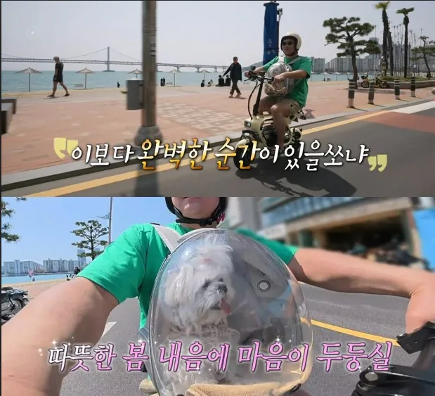 모토벨로 AKU2 PET 2026년형: 반려동물 동반 전동스쿠터 완벽 분석 2